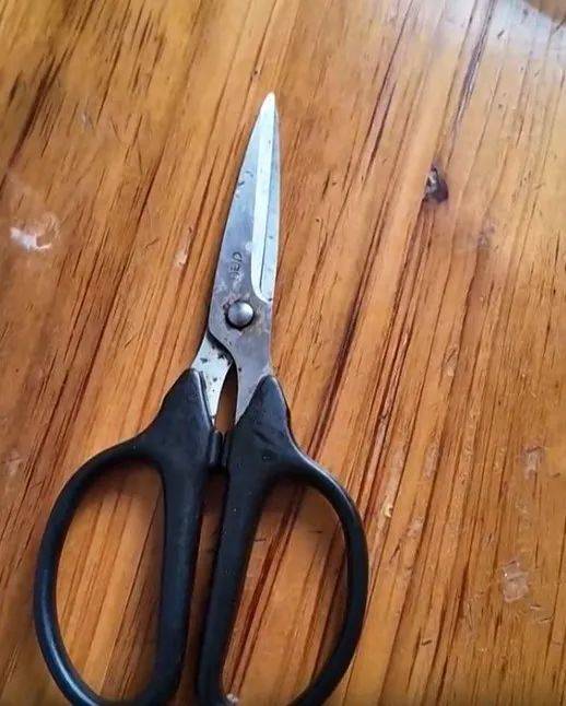 捷克甲组联赛
_太突然!上海98岁阿婆拿起剪刀捷克甲组联赛
,一把剪掉头上的“角”!网友:对自己够狠