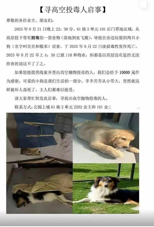 意大利甲组联赛
_广西一小区有人高空抛食毒死多条宠物狗意大利甲组联赛
,居民悬赏万元寻线索,警方已立案调查