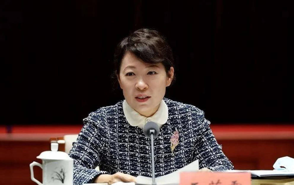 艾里斯vs阿波罗利马素尔
_“换装主席”王莉霞的堕落:从光鲜人设到腐败深渊