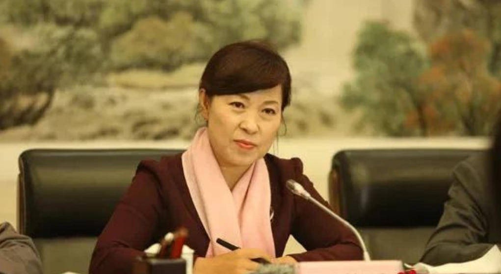 艾里斯vs阿波罗利马素尔
_“换装主席”王莉霞的堕落:从光鲜人设到腐败深渊