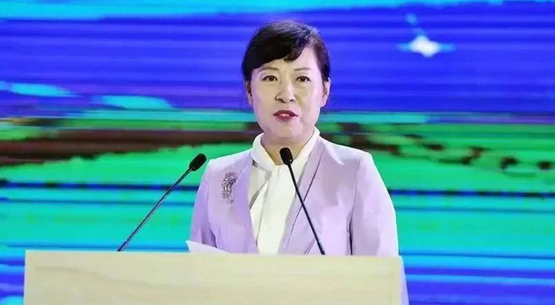 艾里斯vs阿波罗利马素尔
_“换装主席”王莉霞的堕落:从光鲜人设到腐败深渊