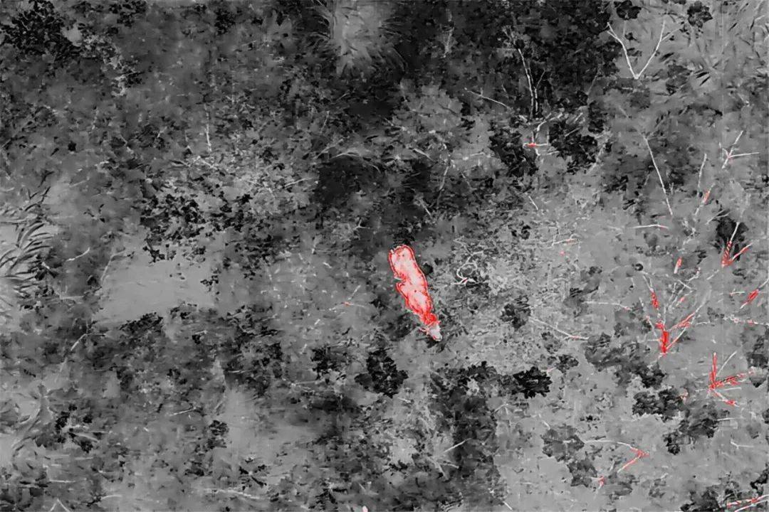 皇冠信用平台出租出售
_无人机精准锁定皇冠信用平台出租出售
,“牛”到家啦!