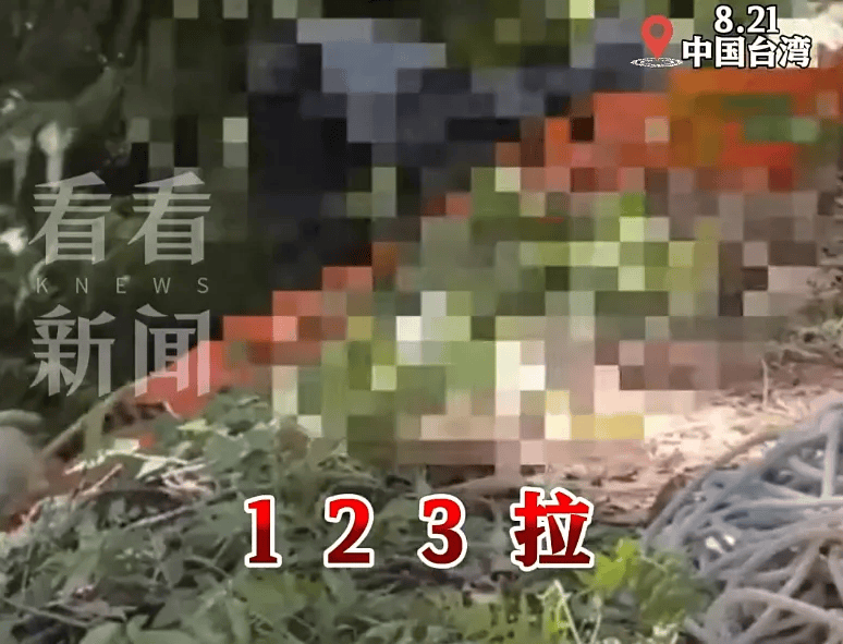 皇冠信用登2代理
_17岁少年遭好友虐杀弃尸! 当地警方: 9人落网,含1名现役海军中士