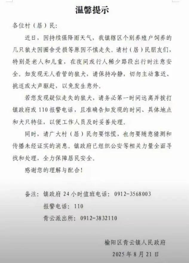 水户蜀葵vs山口雷法_陕西一镇上有狼外逃？当地回应：是狼犬水户蜀葵vs山口雷法，已击毙21只，还有一两只在逃