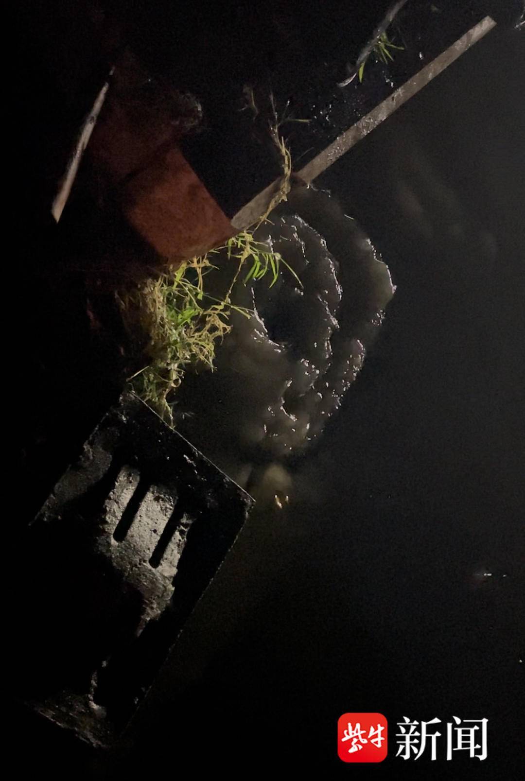 京都不死鸟vs冈山绿雉_记者实探:晚高峰暴雨致南京江宁泉东路积水成河