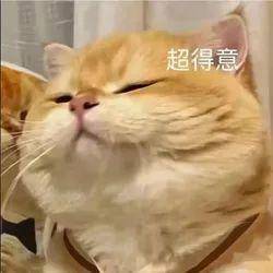 乌米亚vs奥迪沃德_广西男子一口气花38.8万元买了40台手机乌米亚vs奥迪沃德,民警很快找上门……