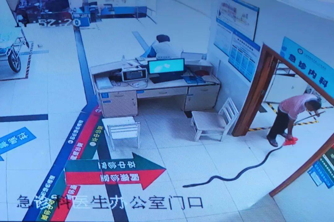 奥胡斯vs弗雷德里西亚_眼镜王蛇咬伤老人奥胡斯vs弗雷德里西亚,家属拖两米多长的“凶手”冲进医院!“拎蛇就医”可取吗?