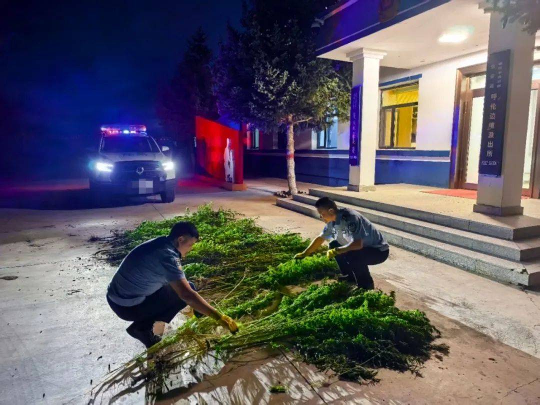 皇冠信用网最新地址_中国留学生因用手机拍照翻译遭拘押皇冠信用网最新地址,中使馆紧急提醒!【新闻早知道】