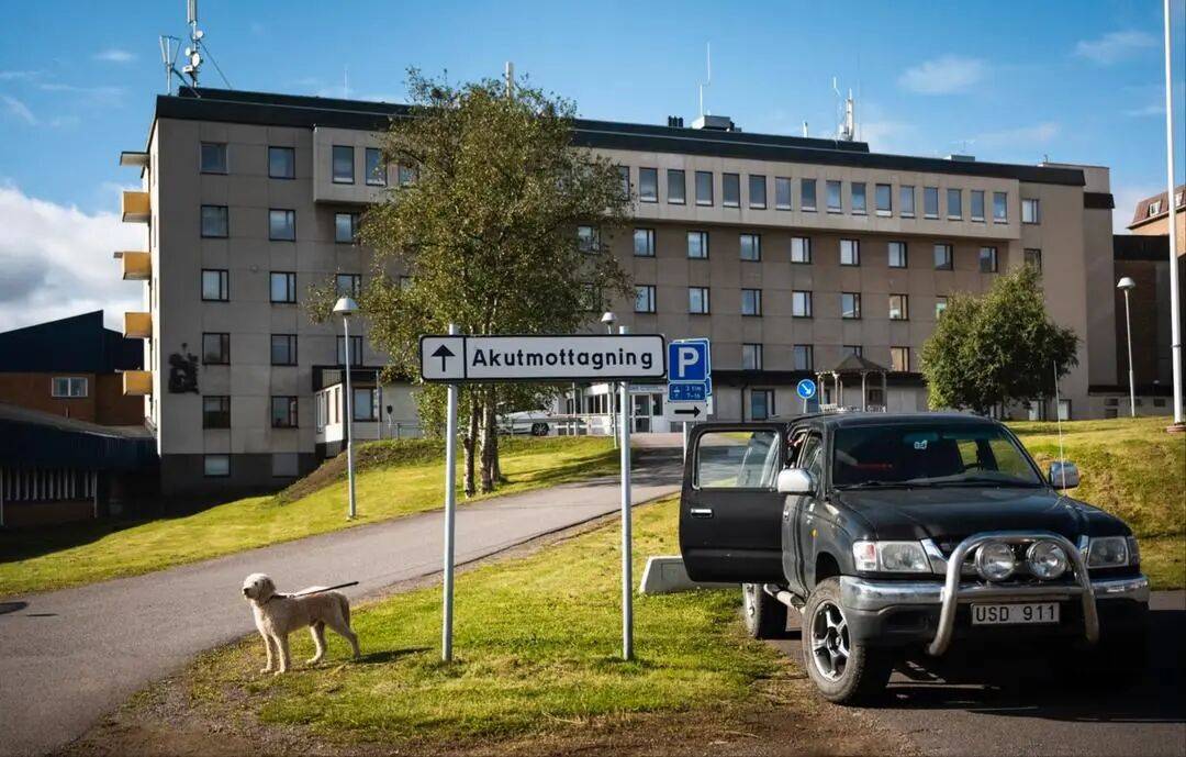 皇冠代理登3平台_中国旅行团8人在瑞典采野生蘑菇中毒皇冠代理登3平台，医院尚未确定误食的具体蘑菇种类