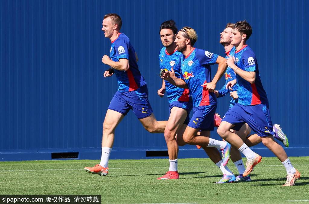 意大利乙组联赛_哈德尔转会莱比锡:超2000万欧元背后的故事与战术影响