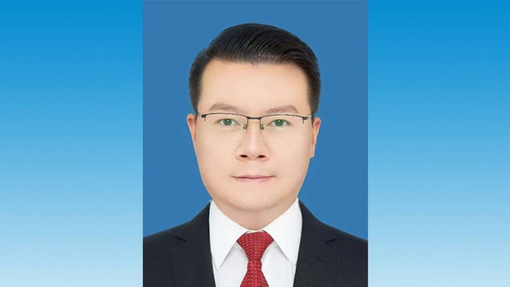 匈牙利甲组联赛_“80后”宁夏商务厅副厅长庞子杰已赴银川市工作