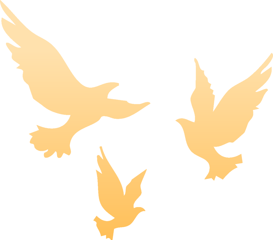 萨尔瓦多甲组联赛_就在明天萨尔瓦多甲组联赛!九三阅兵!这份直播观看攻略与亮点安排请收好