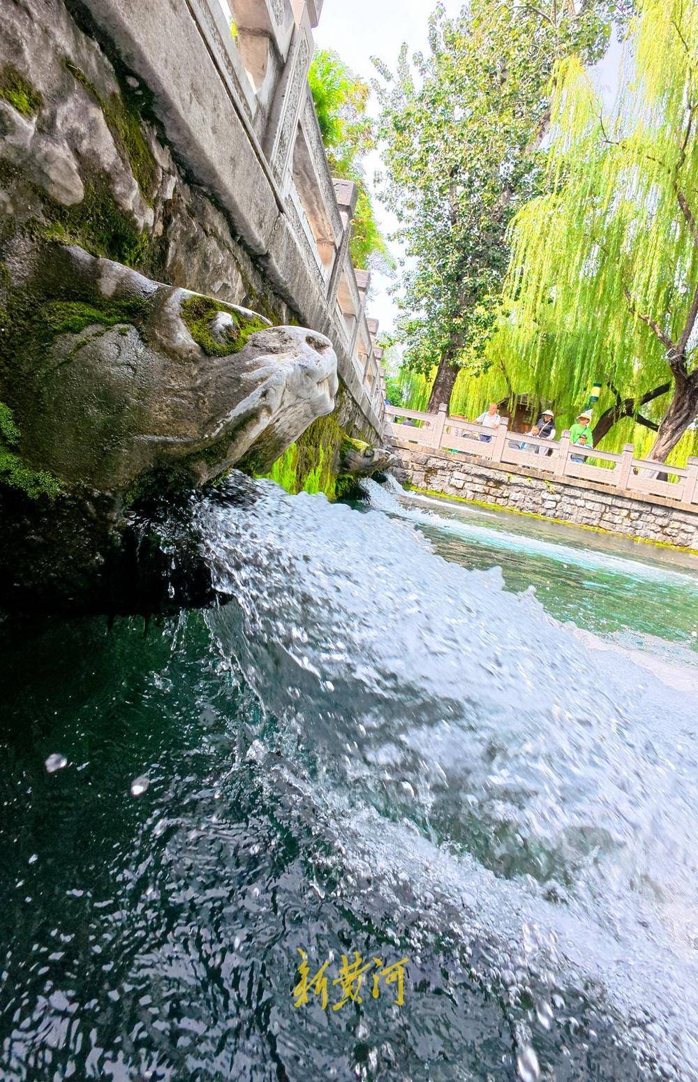 波多黎各职业女子篮球联赛_喷涌势头旺盛波多黎各职业女子篮球联赛,济南黑虎泉将迎恢复喷涌22周年