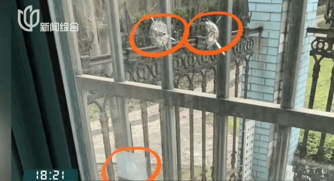 体育皇冠信用网_叶某(60岁)已被刑拘体育皇冠信用网!监控曝光…网友怒斥如此行径太恶劣