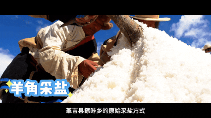 皇冠信用网登2代理_辉煌60年·遇见高原的城|白玛普赤带皇冠信用网登2代理你游革吉