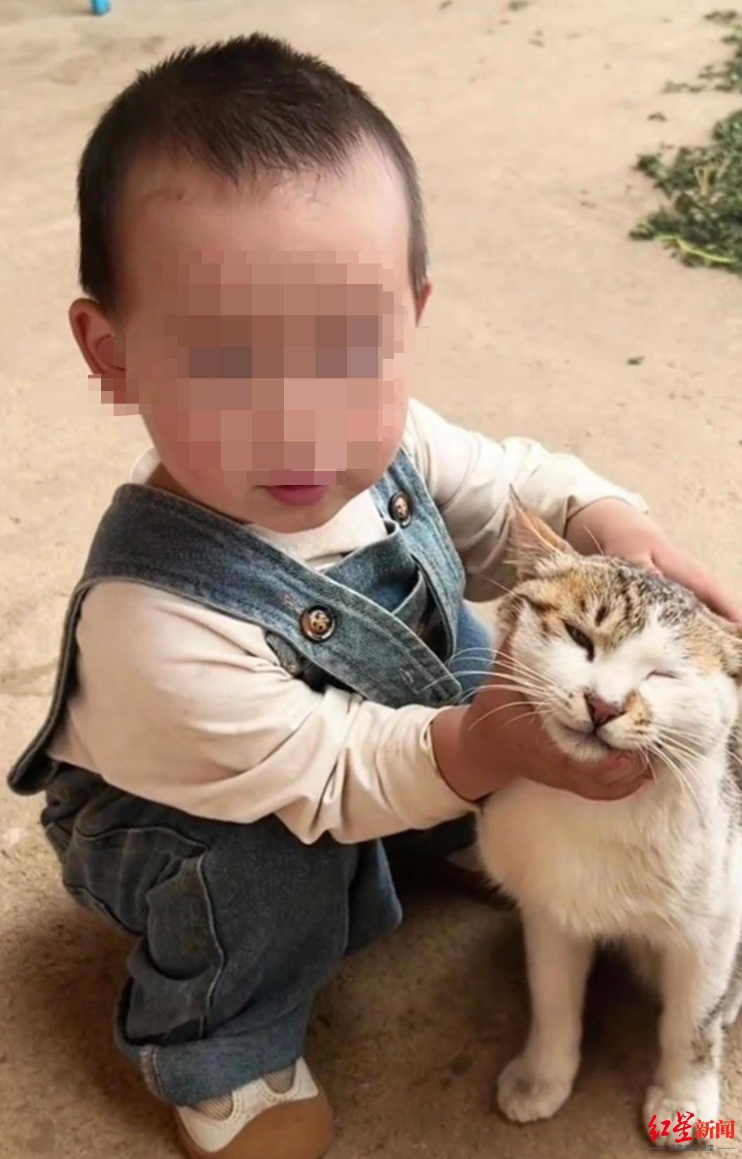 皇冠信用網平台出租_2岁女童家门口失踪10多天:在离家3公里山上石缝中找到皇冠信用網平台出租,已不幸离世