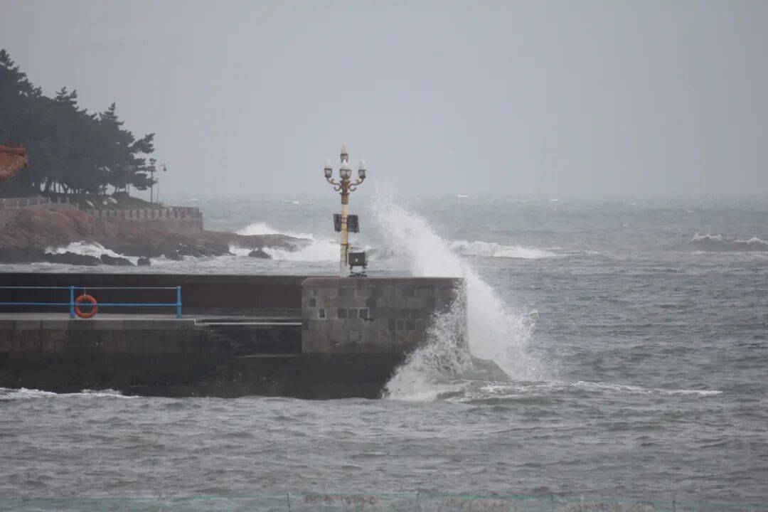 信用网怎么开户_暴雨、大风、大浪来袭信用网怎么开户!青岛市发布防汛预警!