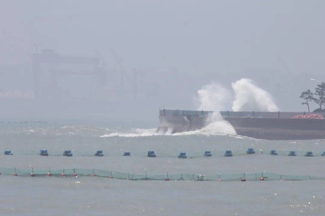 信用网怎么开户_暴雨、大风、大浪来袭信用网怎么开户!青岛市发布防汛预警!