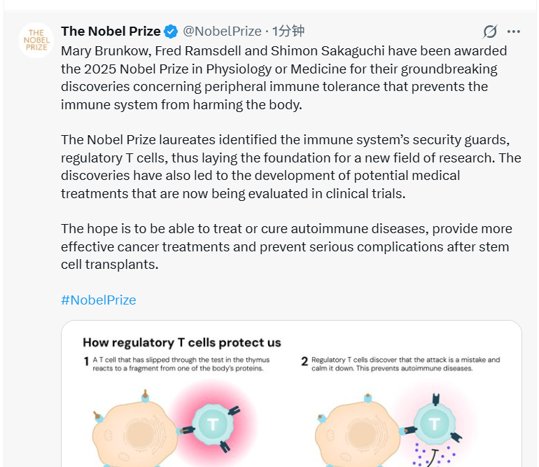 皇冠信用网如何申请_2025诺贝尔医学奖揭晓:表彰“关于外周免疫耐受的发现”皇冠信用网如何申请,三位科学家共享殊荣