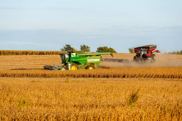 信用网如何申请_丢了中国市场信用网如何申请,美国全球“找补”:印度也买点吧