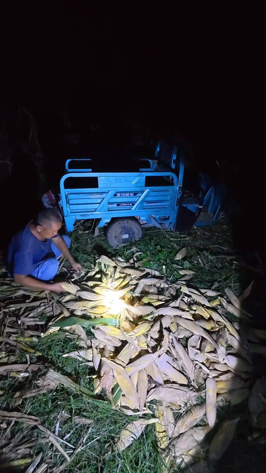 皇冠信用網代理流程_山东一大学生国庆8天假掰了7天半玉米皇冠信用網代理流程，本人称“自己多弯一次腰父母就少吃一点苦”