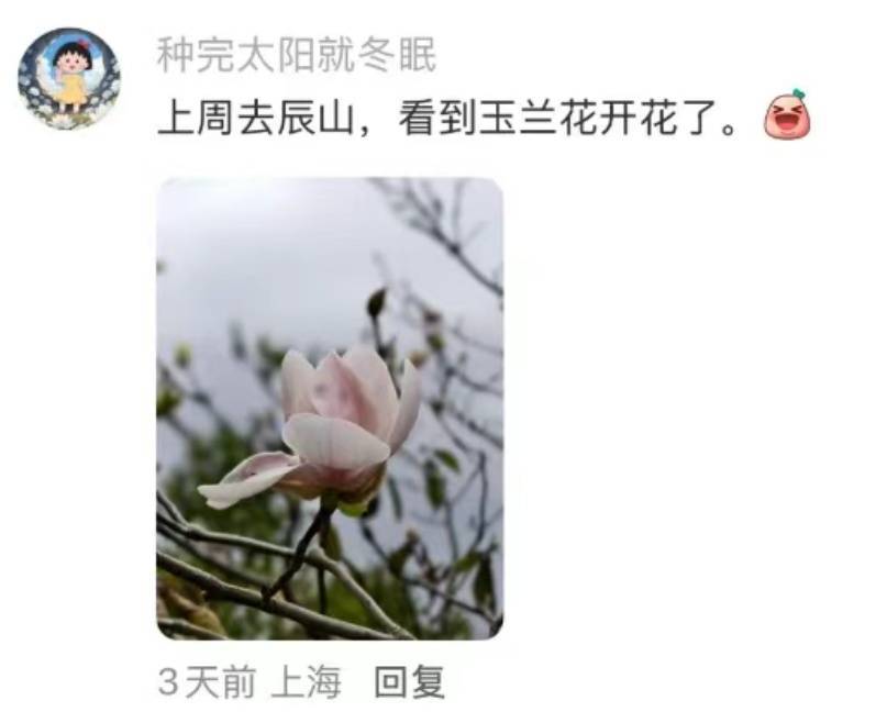 皇冠信用网登123出租_上海：节后气温将冲高至33℃！今夏已长达150天皇冠信用网登123出租，玉兰蔷薇樱花荷花全开了……