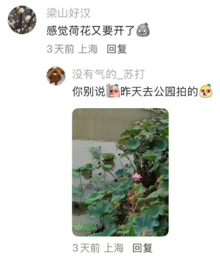 皇冠信用网登123出租_上海：节后气温将冲高至33℃！今夏已长达150天皇冠信用网登123出租，玉兰蔷薇樱花荷花全开了……