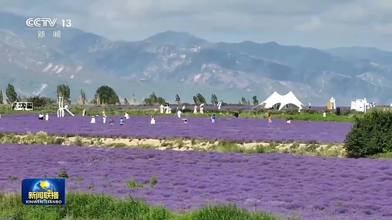 皇冠信用盘登_新思想引领新征程丨绘就乡村全面振兴壮美画卷