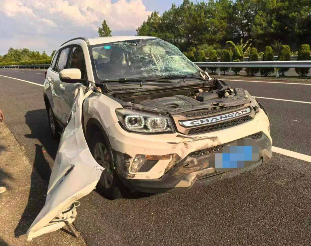 皇冠信用网在线注册_“我撒谎天打雷劈!”男子高速突然强行变道致翻车皇冠信用网在线注册,反诬赖对方