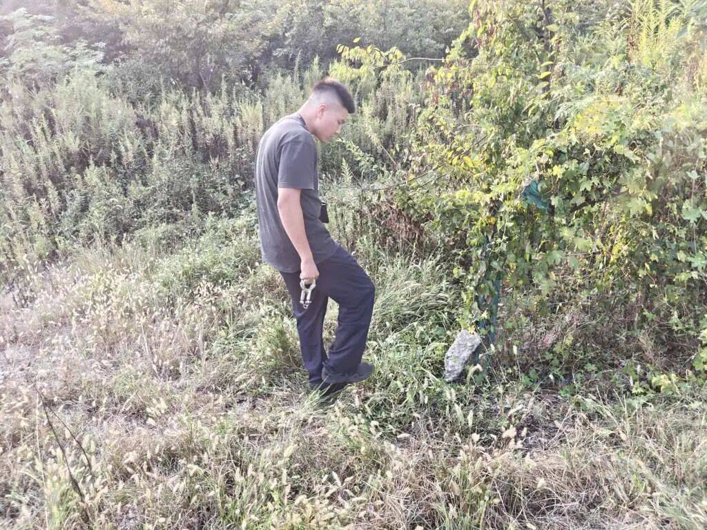 皇冠信用網可以占几成
_浙江一姑娘以奶茶为记号皇冠信用網可以占几成
,竟然在草丛里藏了11万现金!