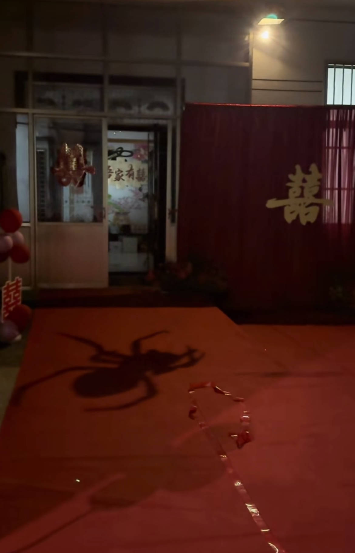 如何申请皇冠信用网
_山东一新娘家凌晨出现巨大蜘蛛的倒影如何申请皇冠信用网
,拍摄者:蜘蛛爬在灯泡上,网友:这才是喜结连理