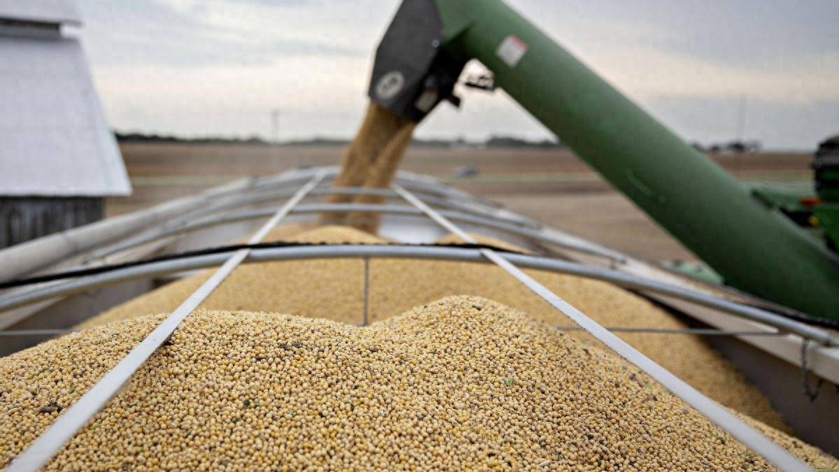 世界杯信用盘代理出租
_比美国大豆价格还高世界杯信用盘代理出租
,巴西大豆涨价滞港,坐地涨价找错了对象,中国买家集体停购