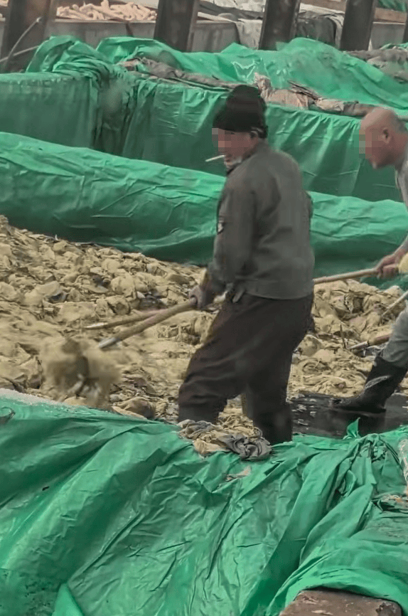 世界杯信用网会员
_辽宁葫芦岛一男子酸菜池中抽烟吐痰世界杯信用网会员
,曝光视频令人反胃!省市两级市监介入