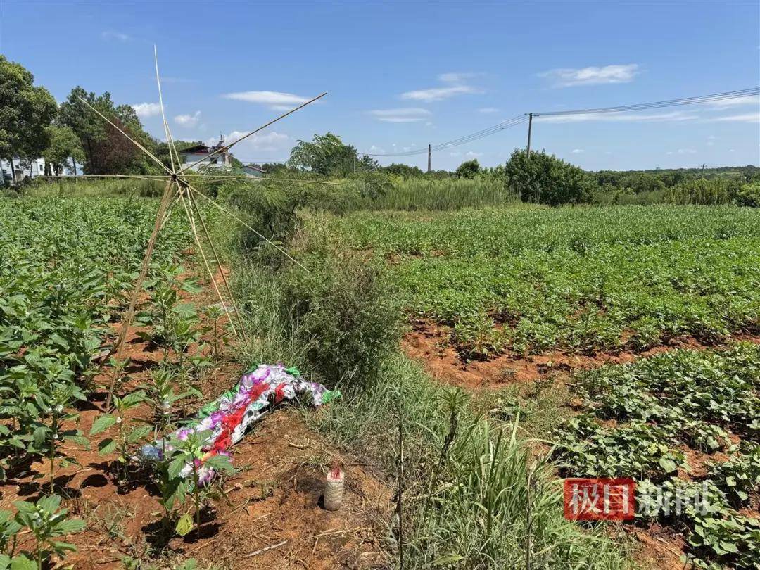 世界杯信用网正网_头部中弹！近日安徽18岁男孩深夜遭遇枪击世界杯信用网正网，枪是从哪来的？