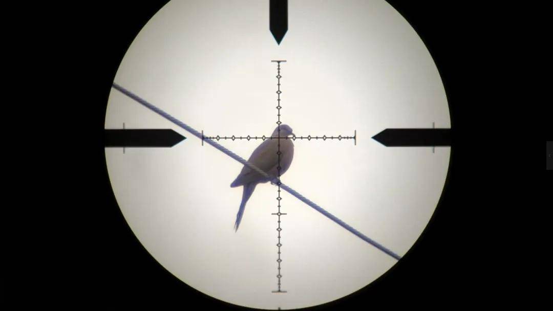 世界杯信用网正网_头部中弹！近日安徽18岁男孩深夜遭遇枪击世界杯信用网正网，枪是从哪来的？