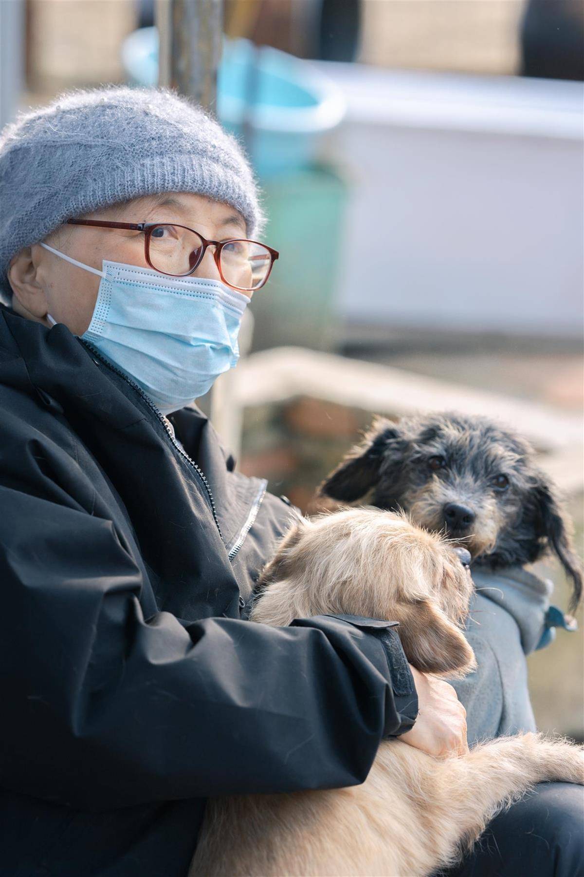 登3代理出租
_合肥卖房救助流浪狗的魏阿姨离世登3代理出租
,病中仍然惦记着基地的600只流浪狗,工人:不敢相信世上还有这样执着的人