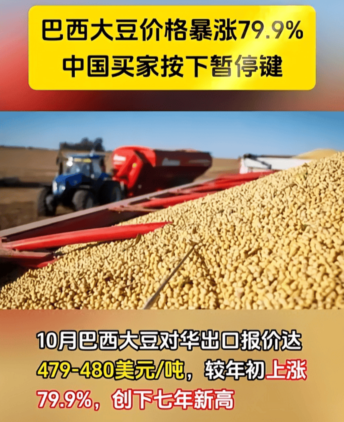 足球信用盘哪里有_反制升级了！巴西大豆被中国停购后足球信用盘哪里有，转身就对中企下狠手，中方亮明态度