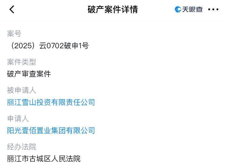 世界杯足球平台代理_李亚鹏开发的雪山艺术小镇被申请破产世界杯足球平台代理，原股东股权价值将归零？