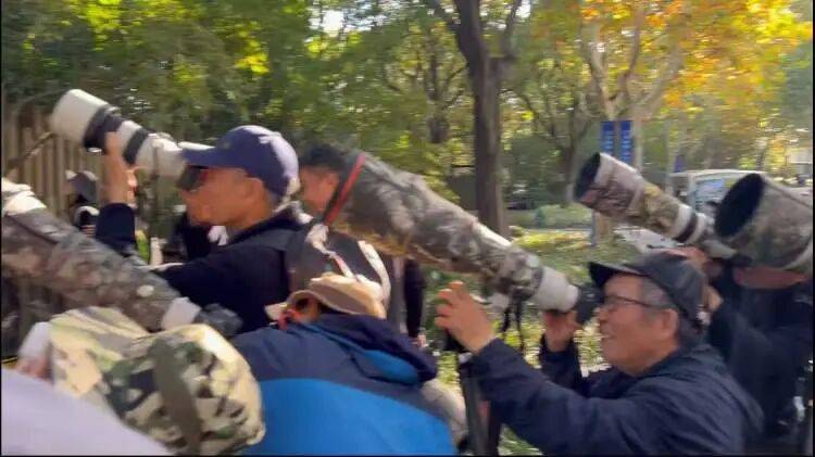 如何代理皇冠信用盘
_百年罕见!首次在上海被目击如何代理皇冠信用盘
,有人专门从北京“打飞的”赶来