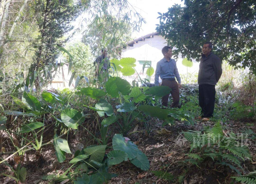 皇冠信用网登3代理
_柳州钓鱼阿叔竹林挖蚯蚓皇冠信用网登3代理
,竟挖出千年前的“大宝贝”!