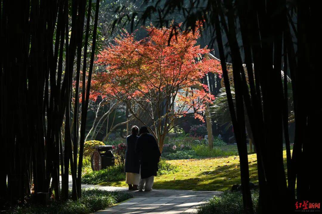 nba赛程表
_我国已进入拉尼娜状态nba赛程表
!四川今冬或“前暖后冷”