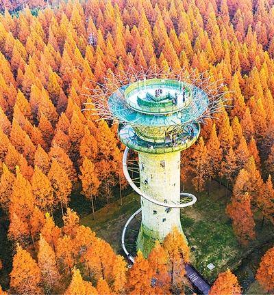 辛辛那堤vs费城联_《文旅深度融合“盐城路径”》发布