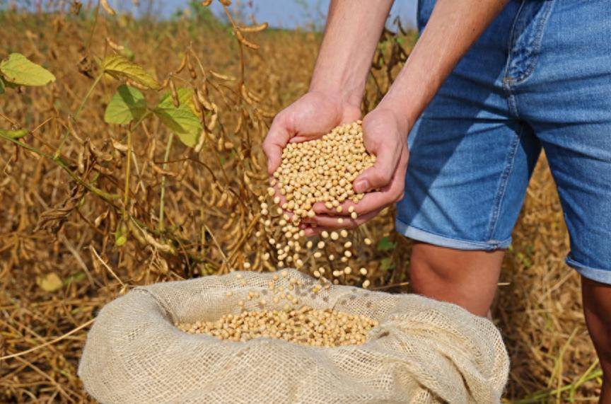 伯恩利vs德比郡
_特朗普还没登机伯恩利vs德比郡
,中国买800万吨美国大豆,美媒争相“报喜”,实则中美角色已互换