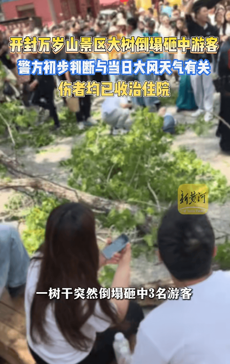 皇冠信用网怎么申请_河南开封万岁山景区树干倒塌皇冠信用网怎么申请,多名游客被砸伤,景区回应:已有专人对接处理