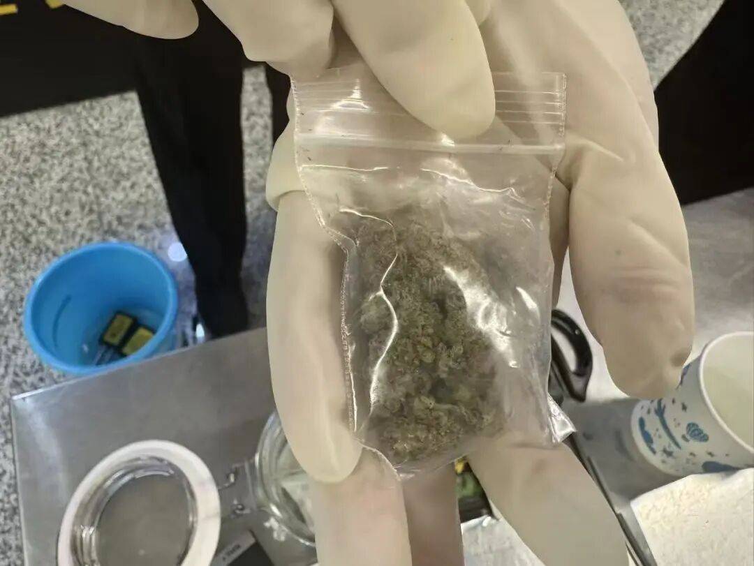 世界杯代理注册
_大麻11克、可卡因0.3克、管制药2粒……西安机场海关查获进境旅客“毒包裹”